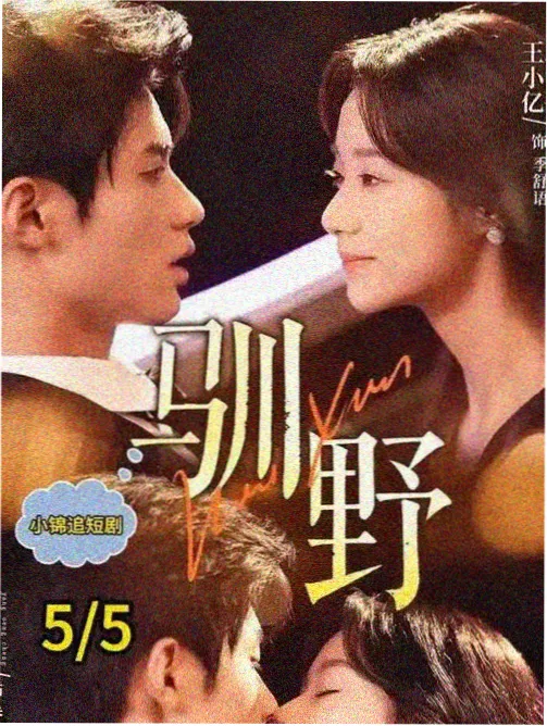 雾港十七号 琪琪电视在线观看完整版